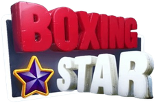 BOXING STAR